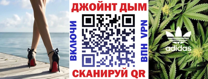 купить наркоту  Кадников  МАРИХУАНА сатива 